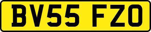 BV55FZO