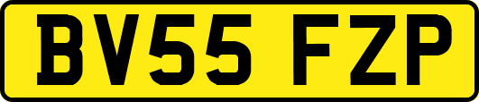 BV55FZP