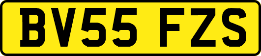 BV55FZS