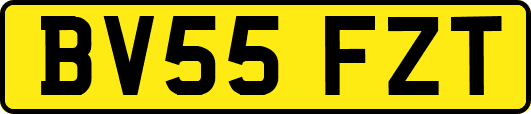 BV55FZT