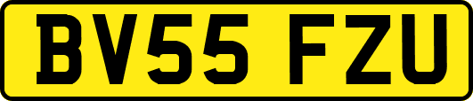 BV55FZU
