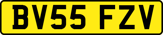 BV55FZV