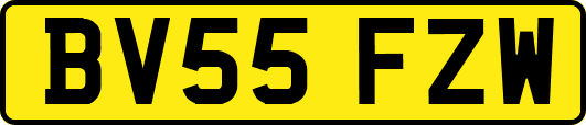 BV55FZW