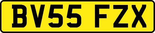 BV55FZX