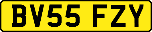 BV55FZY