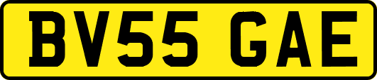 BV55GAE