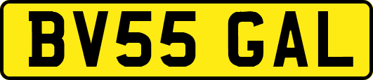BV55GAL