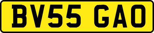 BV55GAO