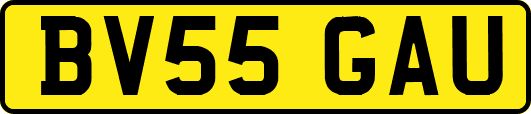 BV55GAU