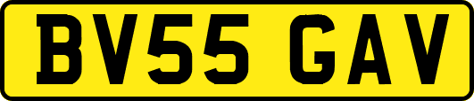 BV55GAV