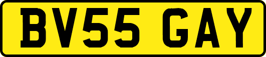 BV55GAY