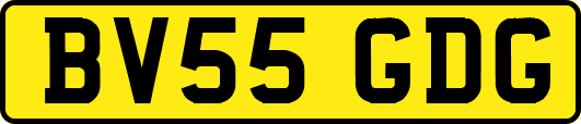 BV55GDG