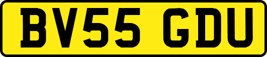 BV55GDU