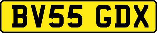 BV55GDX