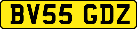 BV55GDZ