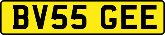BV55GEE