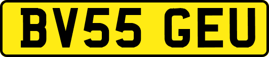 BV55GEU