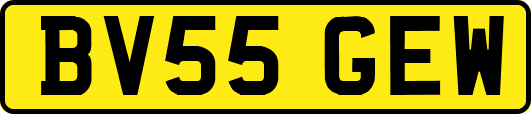 BV55GEW