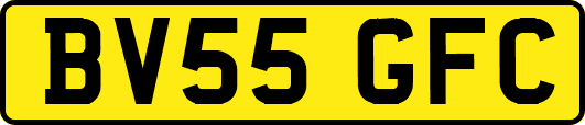BV55GFC