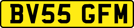 BV55GFM