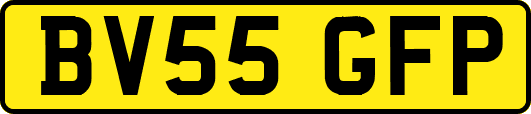 BV55GFP