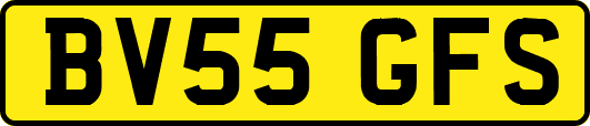 BV55GFS