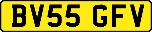 BV55GFV