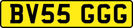 BV55GGG