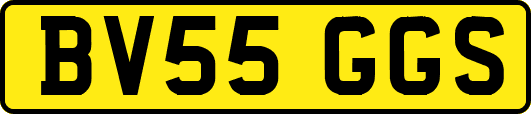 BV55GGS