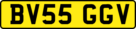 BV55GGV