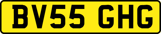 BV55GHG
