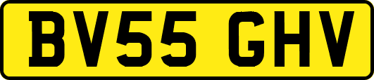 BV55GHV
