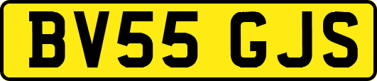 BV55GJS