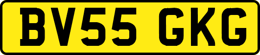 BV55GKG
