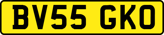 BV55GKO