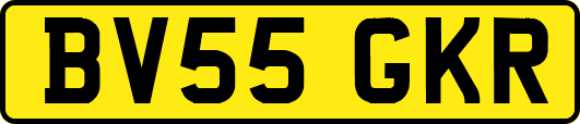 BV55GKR