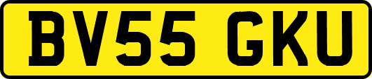 BV55GKU
