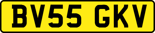 BV55GKV