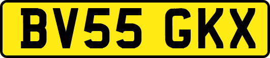 BV55GKX