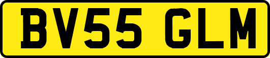 BV55GLM