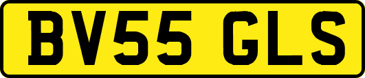 BV55GLS