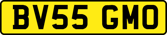 BV55GMO