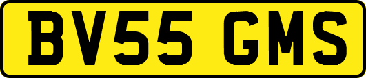 BV55GMS