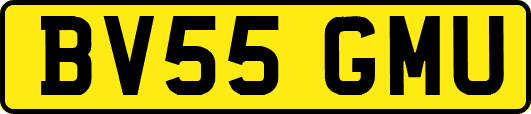 BV55GMU