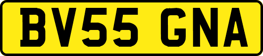 BV55GNA