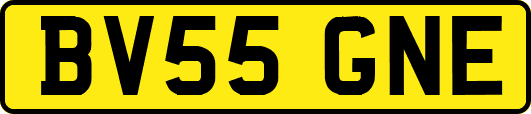 BV55GNE