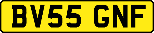 BV55GNF