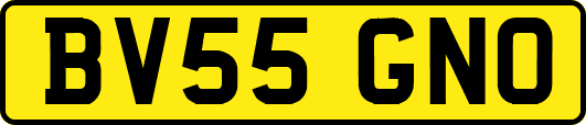 BV55GNO