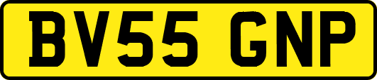 BV55GNP