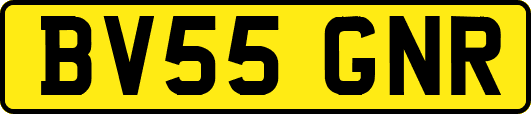 BV55GNR